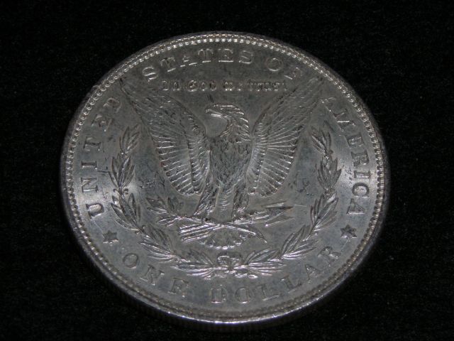 Image-Gallery-Raw-Morgans